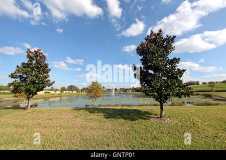Un lac avec fontaine et quelques arbres Banque D'Images