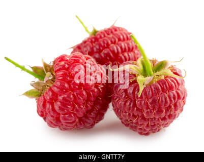 Framboises isolé sur le fond blanc. Banque D'Images