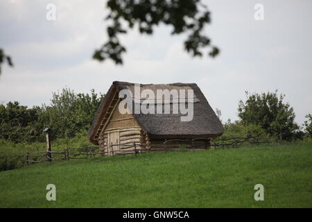 Réplique d'une maison de l'âge du bronze sur le site archéologique à Nizna Mysla, la Slovaquie. Banque D'Images