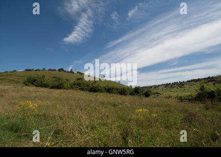 Vue sur la colline de St Catherine, Winchester, Hampshire, England, UK Banque D'Images