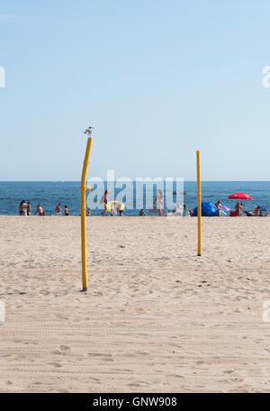 Brighton Beach, Brooklyn, avec mouette assis sur un filet de volley-ball posts regardant la mer Banque D'Images