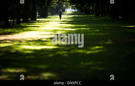 Berlin, Allemagne. Du 1er septembre 2016. Une femme marche à travers le parc du Tiergarten à Berlin, Allemagne, 1 septembre 2016. PHOTO : SOPHIA KEMBOWSKI/dpa/Alamy Live News Banque D'Images