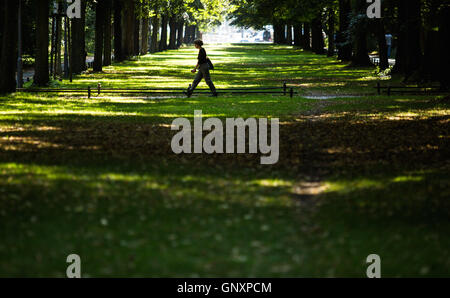 Berlin, Allemagne. Du 1er septembre 2016. Une femme marche à travers le parc du Tiergarten à Berlin, Allemagne, 1 septembre 2016. PHOTO : SOPHIA KEMBOWSKI/dpa/Alamy Live News Banque D'Images