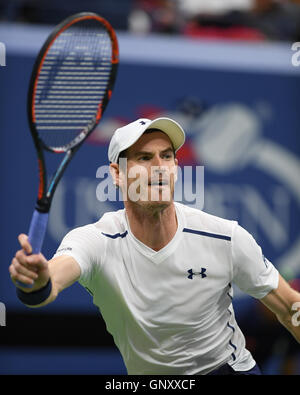 Flushing, New York, USA. 06Th Sep 2016. Andy Murray Vs Marcel Granollers sur Arthur Ashe Stadium de l'USTA Billie Jean King National Tennis Center le 1 septembre 2016 à Flushing Queens. Credit : MediaPunch Inc/Alamy Live News Banque D'Images