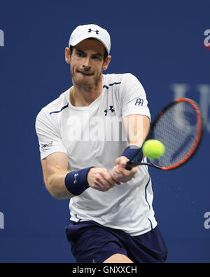 Flushing, New York, USA. 06Th Sep 2016. Andy Murray Vs Marcel Granollers sur Arthur Ashe Stadium de l'USTA Billie Jean King National Tennis Center le 1 septembre 2016 à Flushing Queens. Credit : MediaPunch Inc/Alamy Live News Banque D'Images