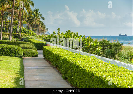 Palm Beach, Floride la belle vue sur la plage publique face au nord vers les Breakers et dans la distance, Singer Island. (USA) Banque D'Images