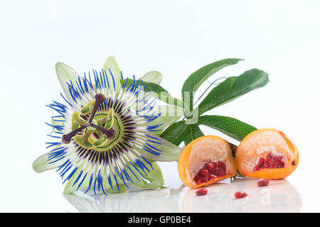 La passiflore et fruit lcut isolé sur fond blanc Banque D'Images