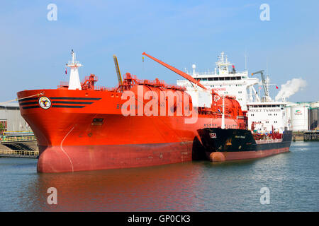 Chimiquier/huile Star Bow amarrés dans le port de Rotterdam. Banque D'Images