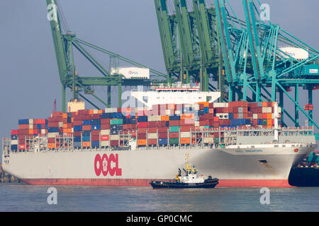 Porte-conteneurs OOCL Singapour laissant un terminal à conteneurs du port d'Anvers. Banque D'Images