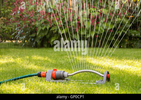 Close up d'un sprinkleur pelouse Banque D'Images