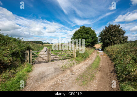 Gate sur le sentier de crête élevée près de Hartington dans le parc national de Peak District. Une journée ensoleillée sumer. Banque D'Images