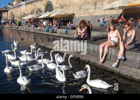 Rivière Vltava Prague peuple Naplavka, promenade le long de la rivière Vltava, un lieu de rencontre et beaucoup d'espace pour les activités de loisirs Vltava à Prague cygnes Banque D'Images