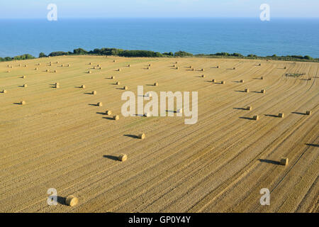 VUE AÉRIENNE.Balles de paille sur un champ surplombant la Manche.Lonngues-sur-Mer, Calvados, Normandie, France. Banque D'Images