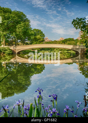 Le Bow Bridge est un pont en fonte situé dans Central Park, New York City, la traversée sur le lac Banque D'Images