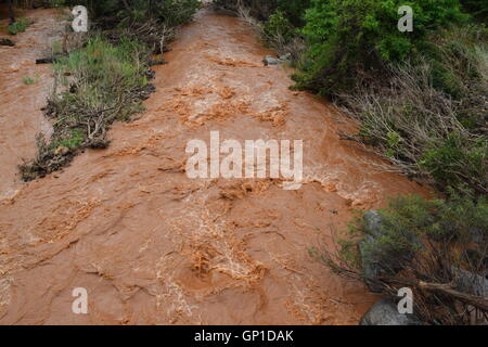 Floody river rouge avec fort débit alluviaux à Dak Lak, Vietnam Banque D'Images