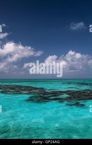 Turneffe Atoll, des Caraïbes, le Belize Banque D'Images