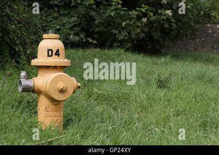 Kennedy jaune k-81 canon sec poteau incendie situé dans un point d'herbe sur un ancien aérodrome de la raf / usaf dans Arles, France, fr Banque D'Images