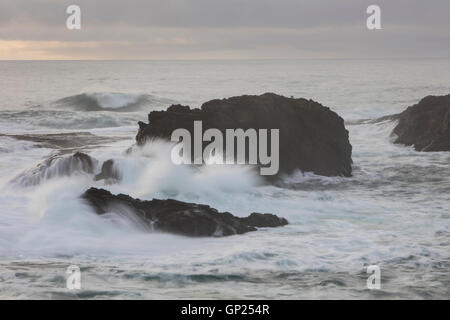 Côte déchiquetée de Mendocino, Californie, USA Banque D'Images