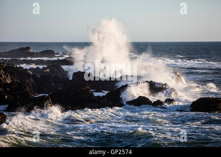Côte déchiquetée de Mendocino, Californie, USA Banque D'Images
