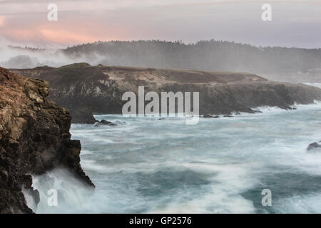Côte déchiquetée de Mendocino, Californie, USA Banque D'Images