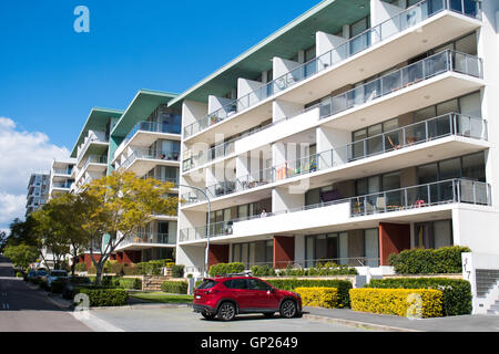 Appartements dans la banlieue Rhodes - Sydney, New South Wales, Australia Banque D'Images