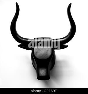 Tête de taureaux Banque D'Images