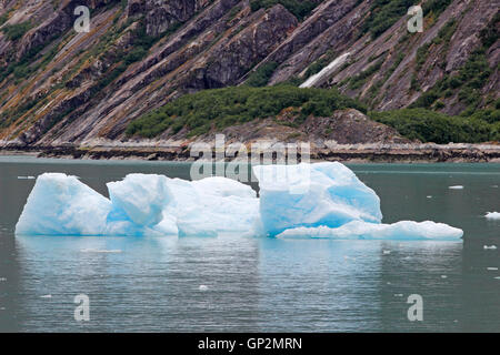 Les flux de glace Glacier Dawes nuages Brouillard Endicott Le passage de l'intérieur du bras sud-est de l'Alaska USA Banque D'Images