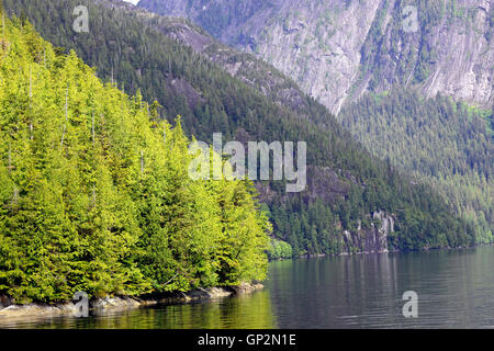 Forêt de sapins du paysage de falaises sculptées glaciaire de Misty Fjords National Monument Le passage de l'intérieur sud-est de l'Alaska USA Banque D'Images