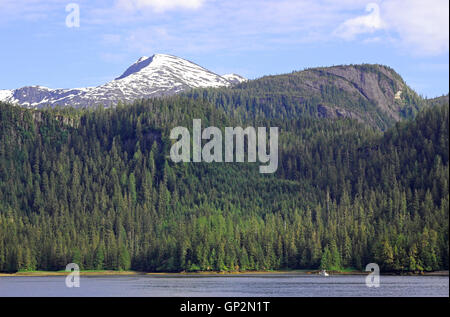 Forêt de sapins du paysage de falaises sculptées des glaciers de montagne enneigées de Misty Fjords National Monument Le passage de l'intérieur sud-est de l'Ala Banque D'Images