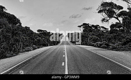 Long Emtly route isolée quelque part sur la route d'Eyre, en Australie du Sud en passant par l'outback gumtrees comme une image noir-blanc. Banque D'Images