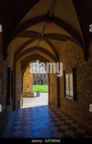 Une vue à l'intérieur New College à Oxford, Angleterre. Il est l'un des collèges de l'Université d'Oxford, Royaume-Uni. Banque D'Images