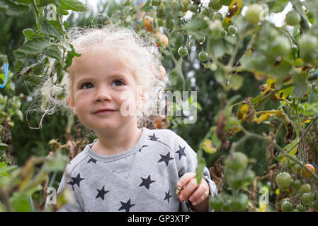 Little girl in vegetable garden Banque D'Images