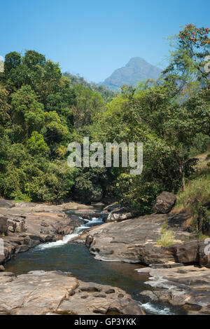 Neyyar Wildlife Sanctuary, Neyyar Dam, Kerala, Inde Banque D'Images