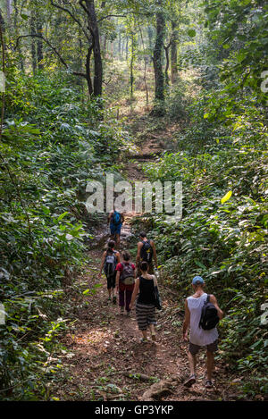 Neyyar Wildlife Sanctuary, Neyyar Dam, Kerala, Inde Banque D'Images