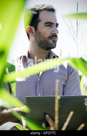 Agriculteur en utilisant un ordinateur portable lors de la collecte des données dans un champ Banque D'Images