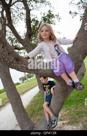 Des enfants assis sur les branches d'arbres Banque D'Images