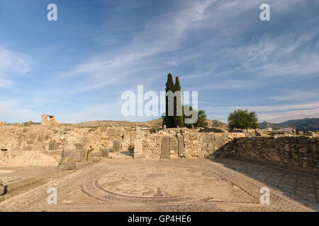 Volubilis mosaïque, Maroc Banque D'Images