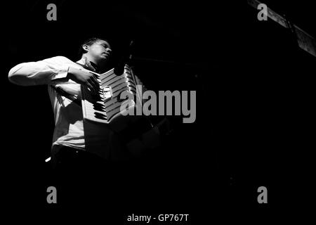 Belgrade, Serbie. 25 Juin, 2016. Joueur d'Accordéon Oscar Simonsson de la KOOP Oscar orchestre jouant de l'accordéon sur scène. Banque D'Images