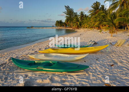 Kayaks sur la plage tropicale de sable avec des cocotiers, l'atoll de Tikehau, archipel des Tuamotu, en Polynésie française, l'océan Pacifique Banque D'Images