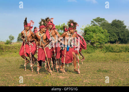 Danse folklorique tribale gendi, Bastar, Chhattisgarh, Inde, Asie Banque D'Images