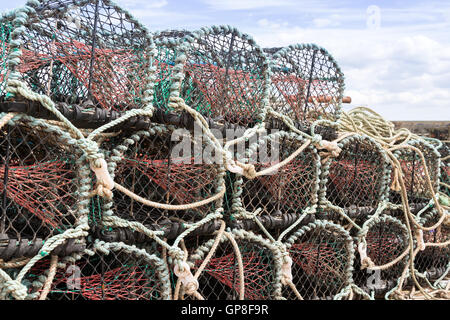 Des casiers à crabe ou homard empilés sur jetty Banque D'Images