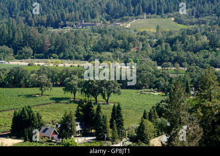 Vue de paysages de vignes de la vallée de Napa et Castello di Amorosa winery en arrière-plan.Calistoga Napa Valley, Californie,USA, Banque D'Images