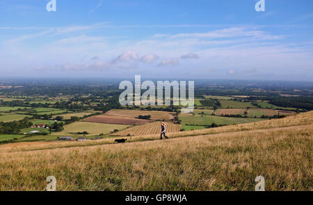 Dyke Devils Brighton UK 3 Septembre 2016 - Un chien walker bénéficie d'un beau matin ensoleillé chaud sur les South Downs à Devils Dyke près de Brighton mais le temps devrait être mouillé en Grande-Bretagne plus tard dans la journée Crédit : Simon Dack/Alamy Live News Banque D'Images