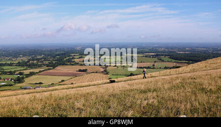 Dyke Devils Brighton UK 3 Septembre 2016 - Un chien walker bénéficie d'un beau matin ensoleillé chaud sur les South Downs à Devils Dyke près de Brighton mais le temps devrait être mouillé en Grande-Bretagne plus tard dans la journée Crédit : Simon Dack/Alamy Live News Banque D'Images