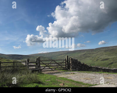 Gate sur la route à Hornby Croasdale dans la forêt de Bowland Banque D'Images