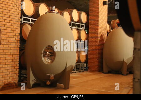 Les réservoirs de fermentation en format d'oeufs à la cave de Koyle Family Vineyards, Los Lingues, Alto,Colchagua Chili Banque D'Images