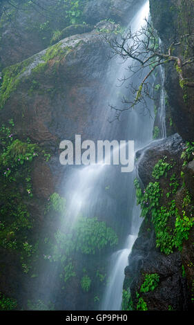 L'image de cascade de Mahabaleshwar, Hill station Maharashtra, Western Ghats, mousson, Inde Banque D'Images