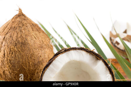 De coco fraîche en varios formes sur la table Banque D'Images