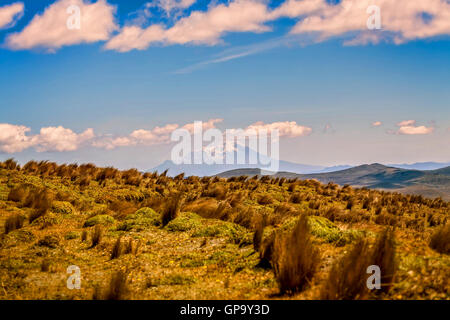 Paysage du Parc National Cotopaxi, Equateur, Amérique du Sud Banque D'Images