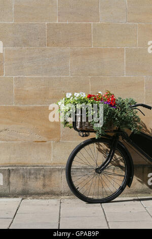 Old vintage black vélo avec panier en osier de fleurs appuyé contre un mur de pierre à Oxford Banque D'Images